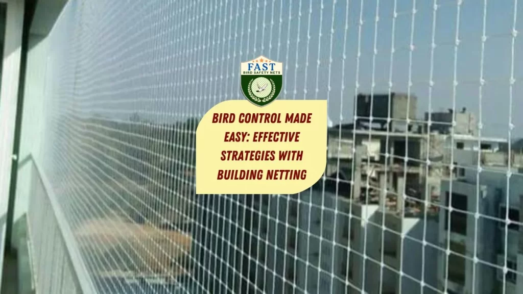 Bird Control Made Easy: Effective Strategies with Building Netting