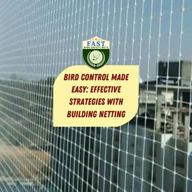 Bird Control Made Easy: Effective Strategies with Building Netting