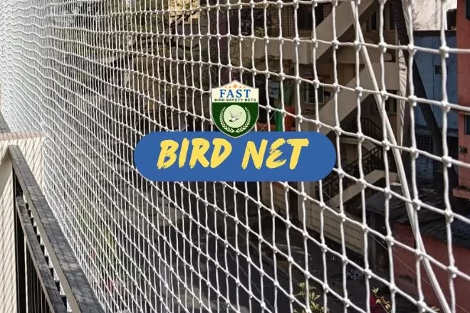 Affordable Bird Net Solutions: Cost-Effective Ways to Protect Your Property