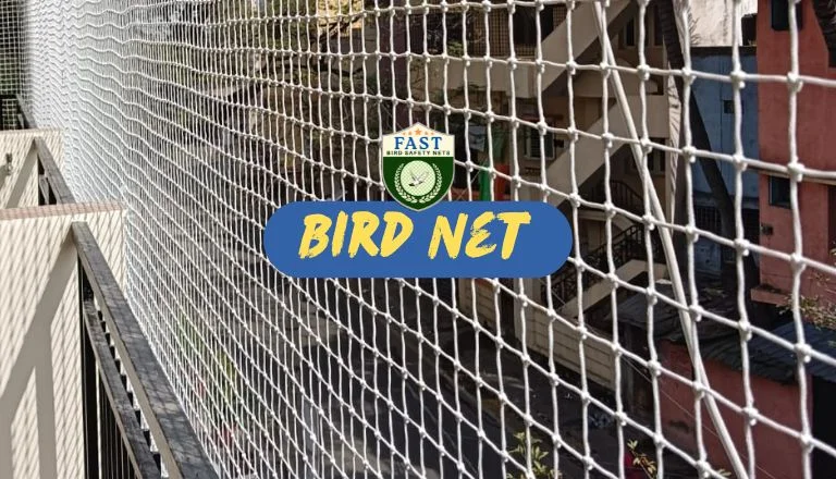 Affordable Bird Net Solutions: Cost-Effective Ways to Protect Your Property