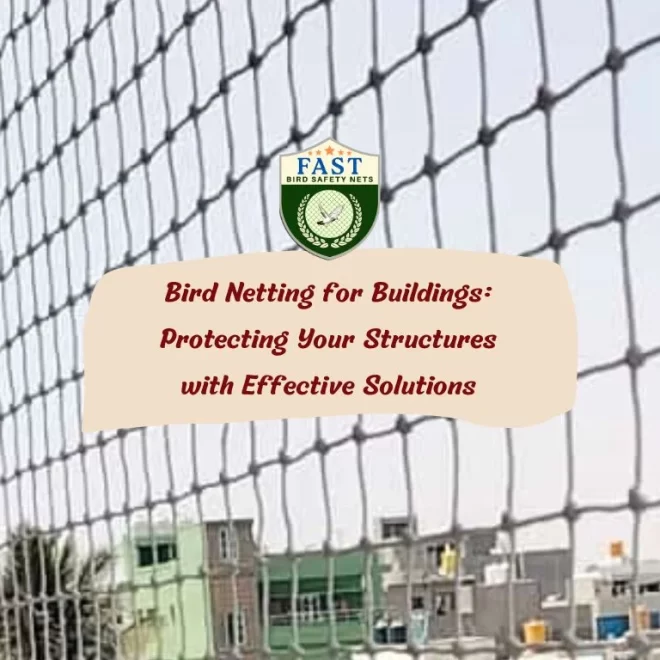 Bird Netting for Buildings: Protecting Your Structures with Effective Solutions