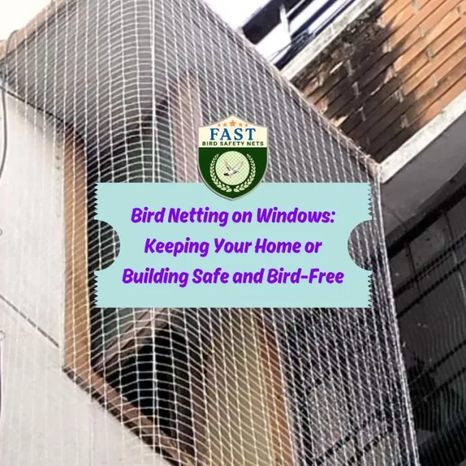 Bird Netting on Windows: Keeping Your Home or Building Safe and Bird-Free