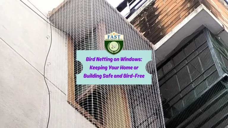 Bird Netting on Windows: Keeping Your Home or Building Safe and Bird-Free