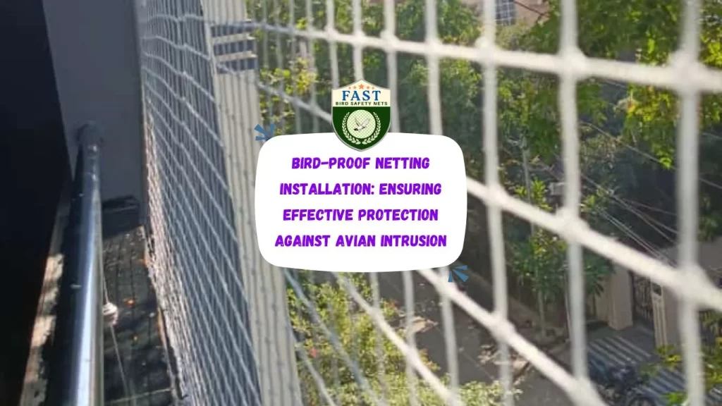 Bird-Proof Netting Installation: Ensuring Effective Protection Against Avian Intrusion