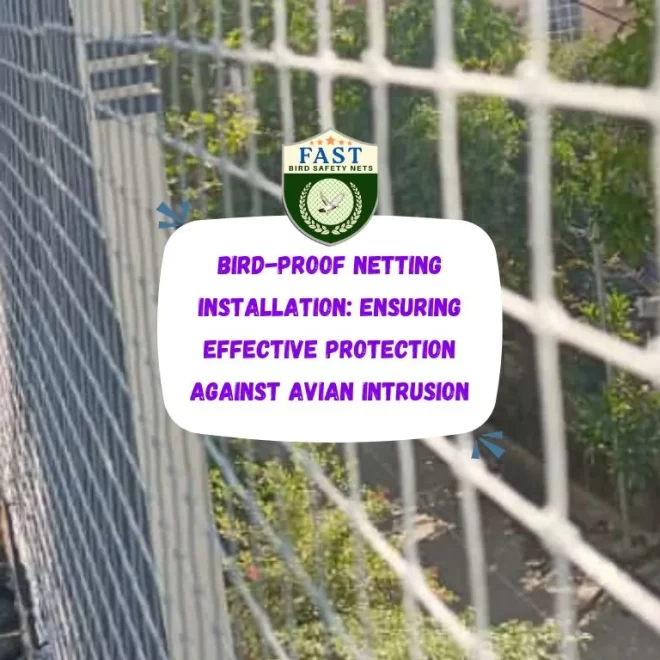 Bird-Proof Netting Installation: Ensuring Effective Protection Against Avian Intrusion
