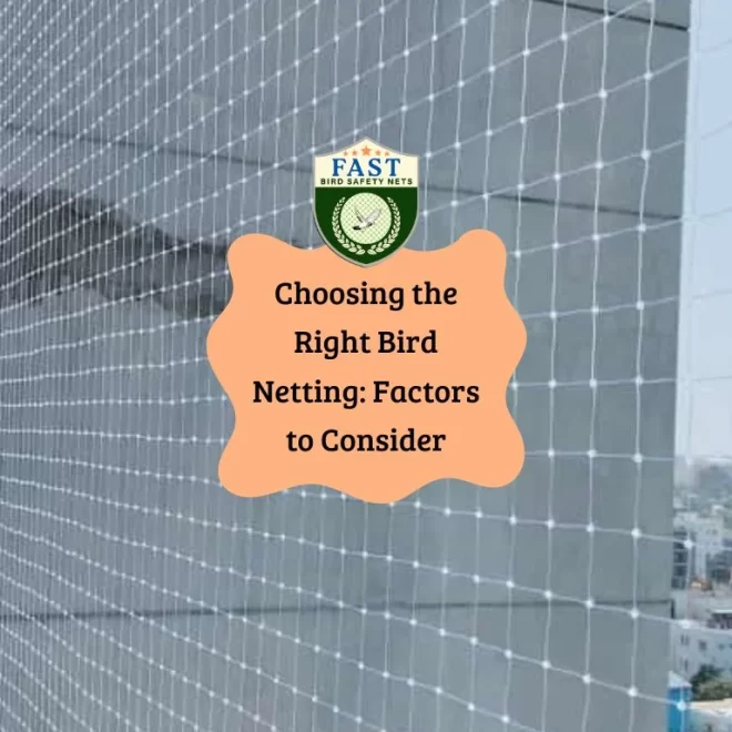 Choosing the Right Bird Net for Balcony: Factors to Consider