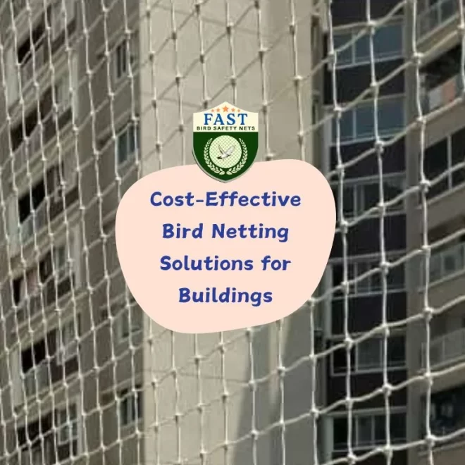 Cost-Effective Bird Netting Solutions for Buildings