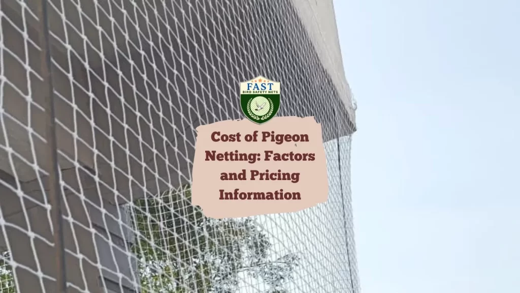 Cost of Pigeon Netting: Factors and Pricing Information