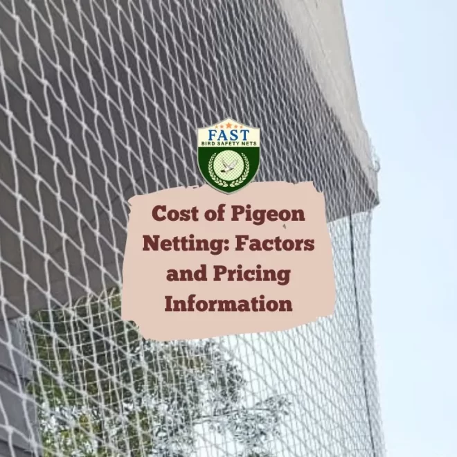 Cost of Pigeon Netting: Factors and Pricing Information