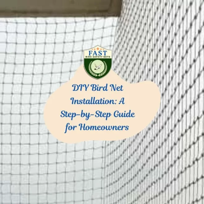 DIY Bird Net Installation: A Step-by-Step Guide for Homeowners