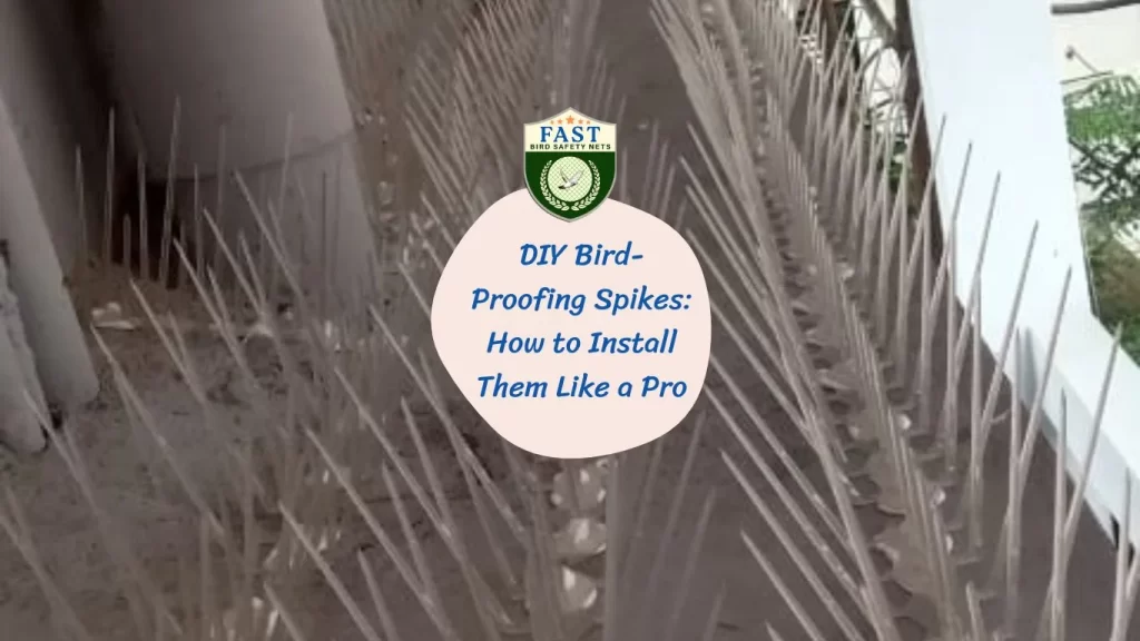 DIY Bird-Proofing Spikes: How to Install Them Like a Pro