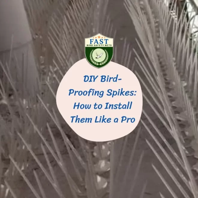 DIY Bird-Proofing Spikes: How to Install Them Like a Pro