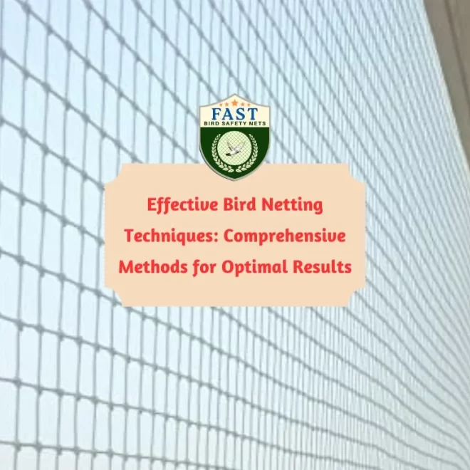 Effective Bird Netting Techniques: Comprehensive Methods for Optimal Results