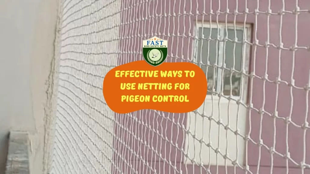 Effective Ways to Use Netting for Pigeon Control