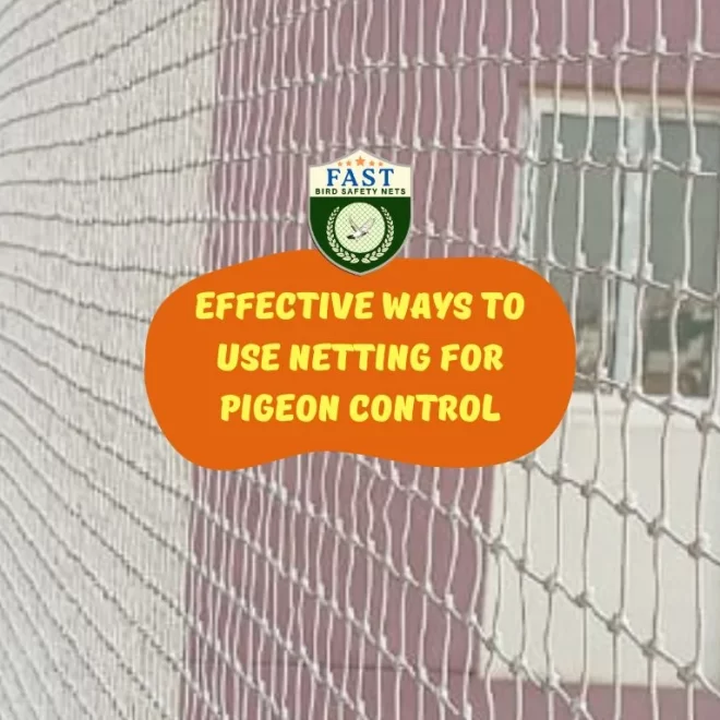 Effective Ways to Use Netting for Pigeon Control
