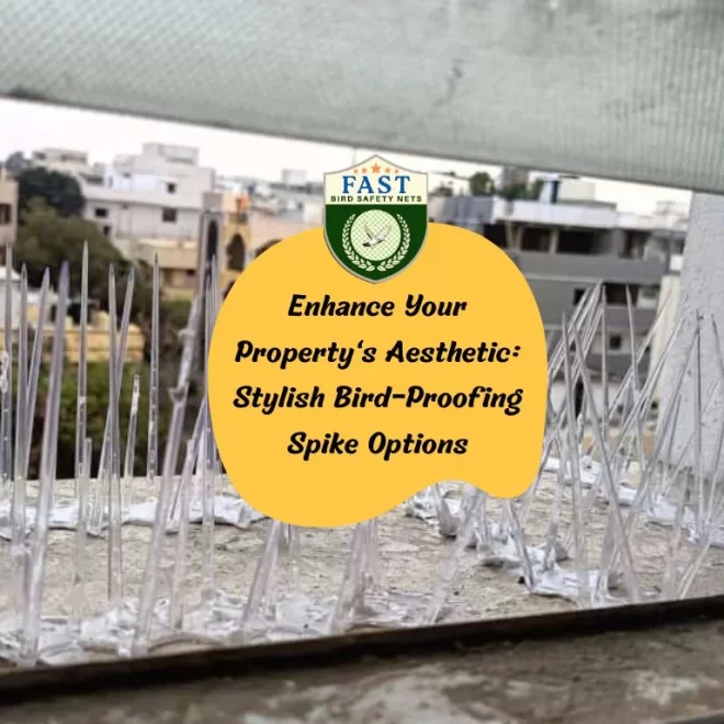 Enhance Your Property’s Aesthetic: Stylish Bird-Proofing Spike Options