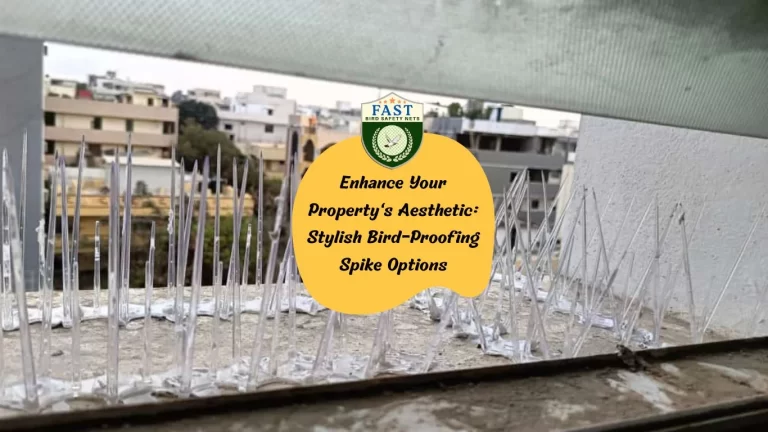 Enhance Your Property’s Aesthetic: Stylish Bird-Proofing Spike Options