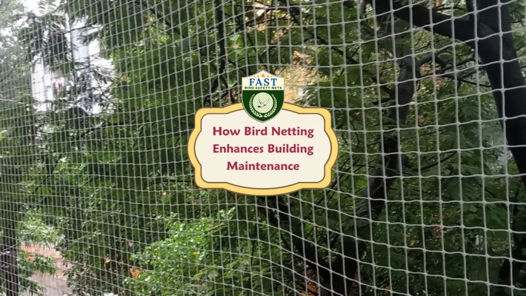 How Bird Netting Enhances Building Maintenance