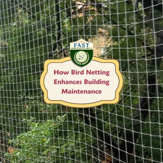 How Bird Netting Enhances Building Maintenance