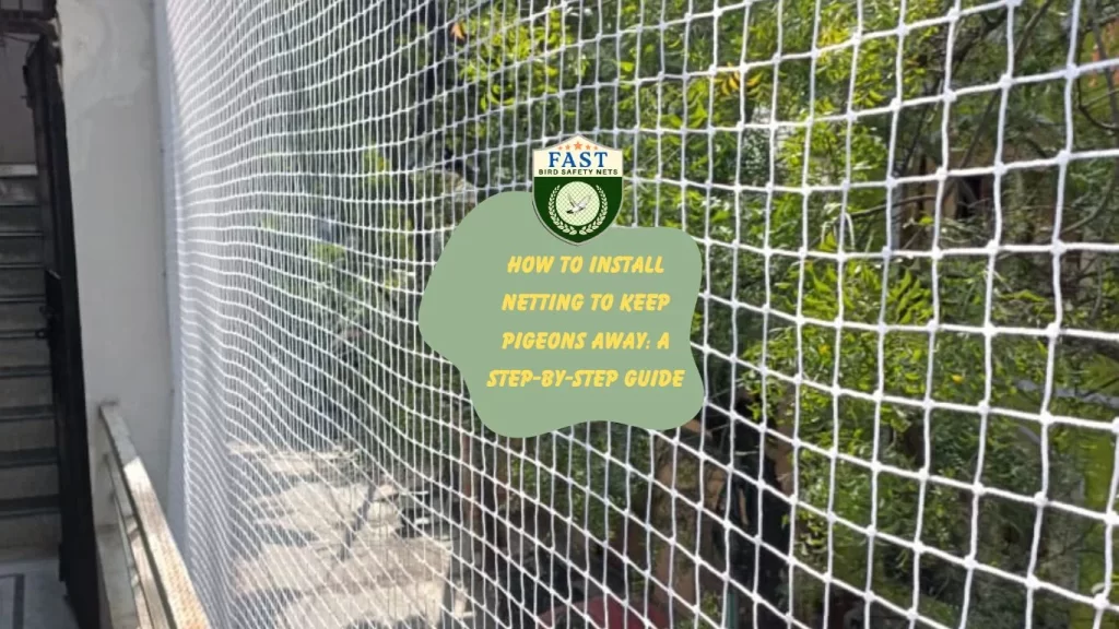 How to Install Netting to Keep Pigeons Away: A Step-by-Step Guide