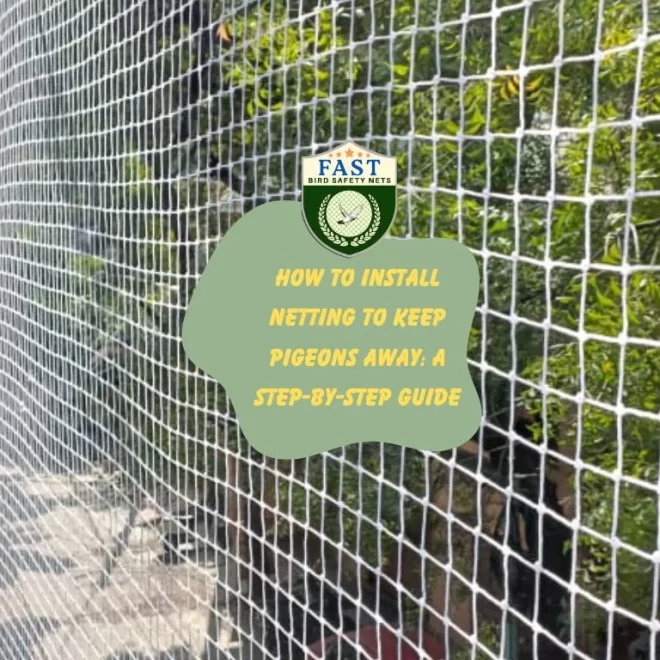 How to Install Netting to Keep Pigeons Away: A Step-by-Step Guide
