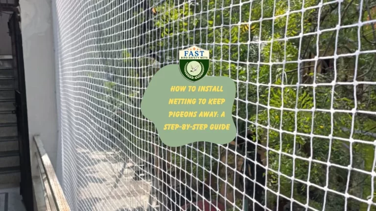 How to Install Netting to Keep Pigeons Away: A Step-by-Step Guide
