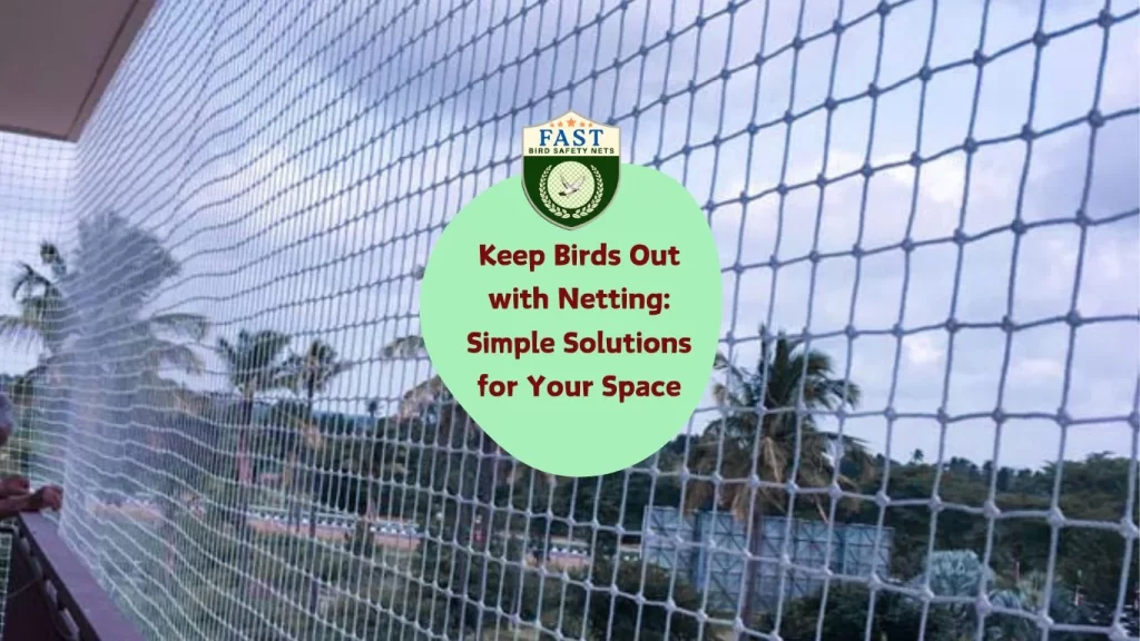 Keep Birds Out with Netting: Simple Solutions for Your Space