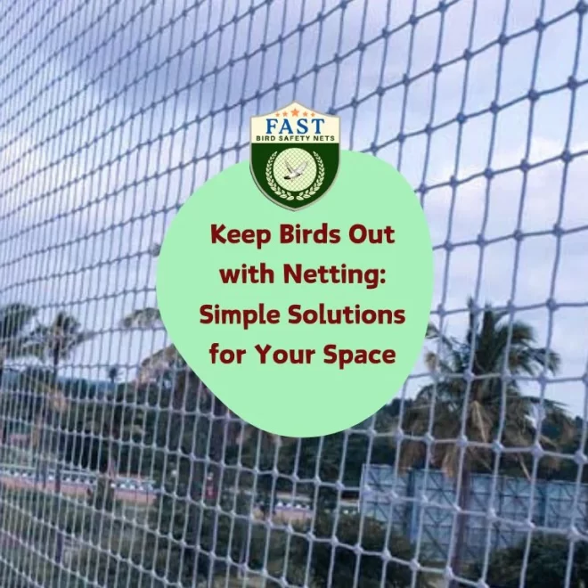 Keep Birds Out with Netting: Simple Solutions for Your Space