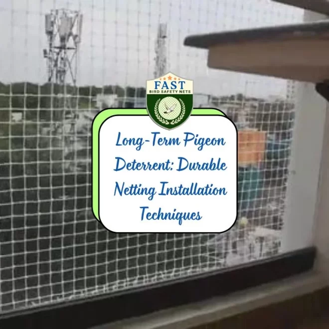 Long-Term Pigeon Deterrent: Durable Pigeon Netting Installation Techniques