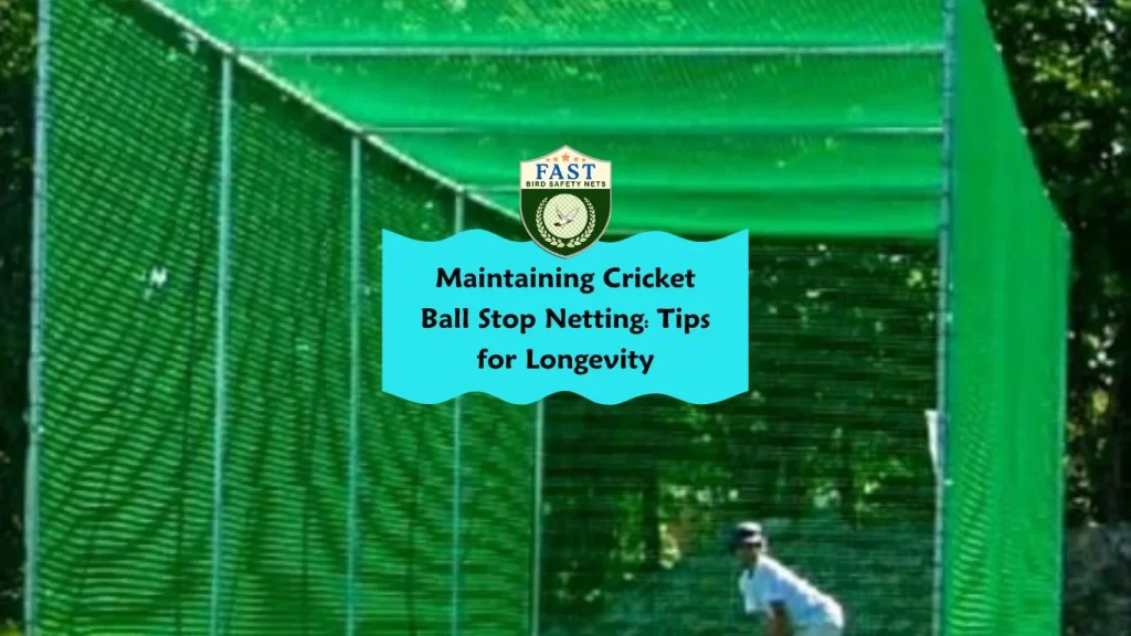 Maintaining Cricket Ball Stop Netting: Tips for Longevity