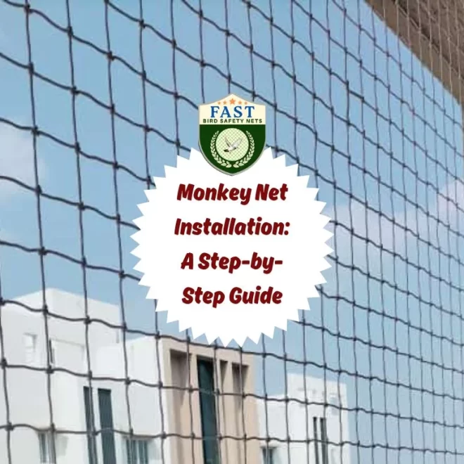Monkey Net Installation: A Step-by-Step Guide