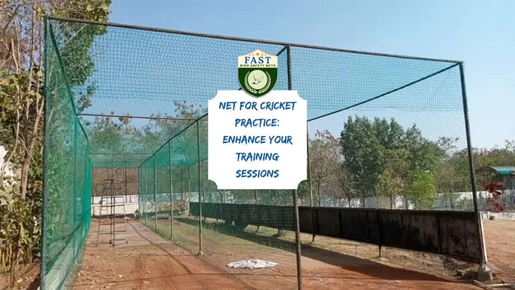 Net for Cricket Practice: Enhance Your Training Sessions