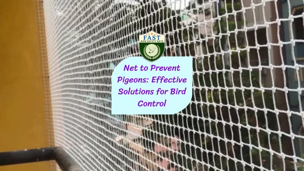 Net to Prevent Pigeons: Effective Solutions for Bird Control