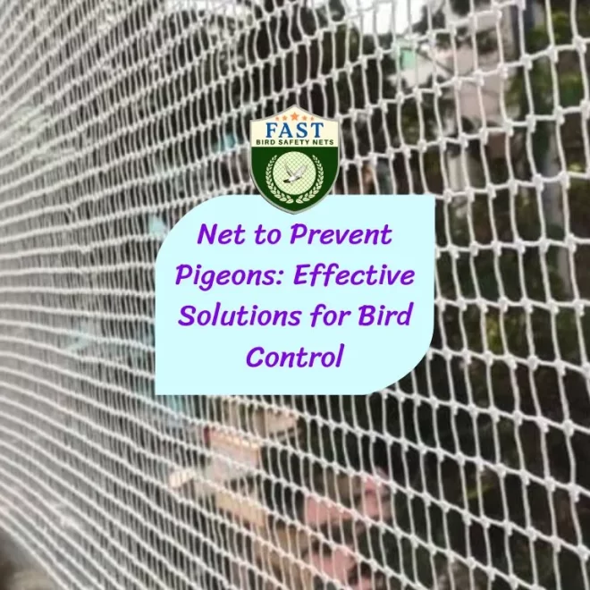 Net to Prevent Pigeons: Effective Solutions for Bird Control