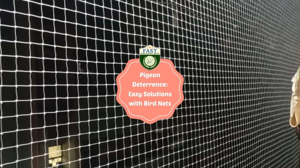 Pigeon Deterrence: Easy Solutions with Bird Nets