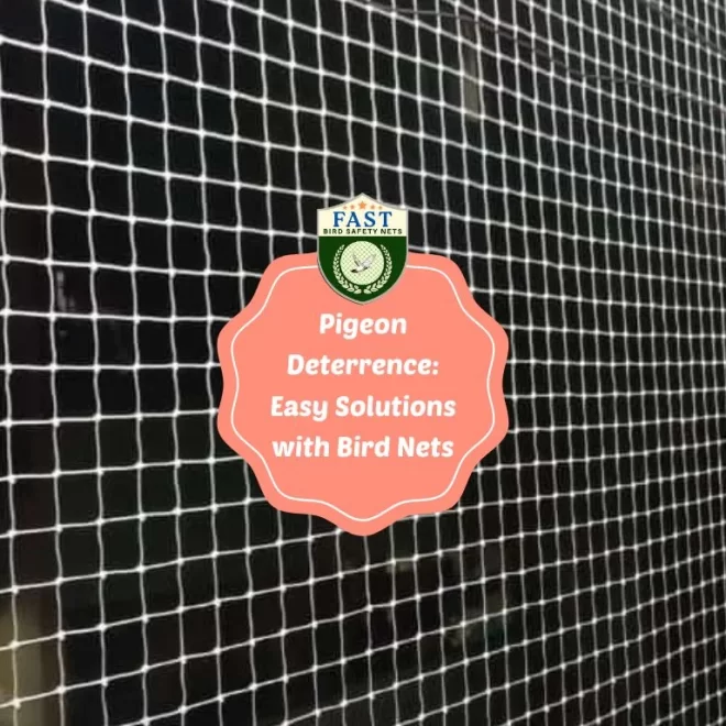 Pigeon Deterrence: Easy Solutions with Bird Net