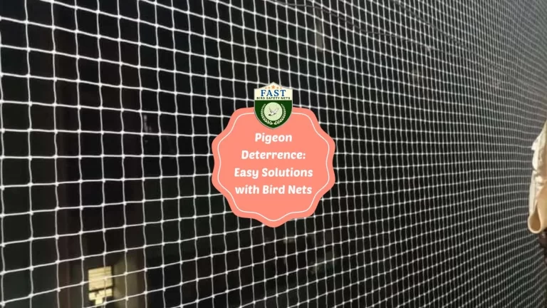 Pigeon Deterrence: Easy Solutions with Bird Net