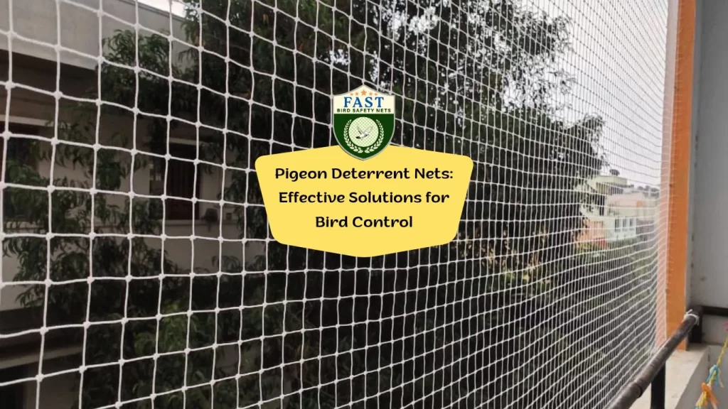 Pigeon Deterrent Nets: Effective Solutions for Bird Control