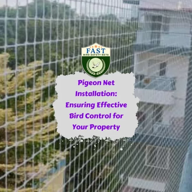 Pigeon Net Installation: Ensuring Effective Bird Control for Your Property