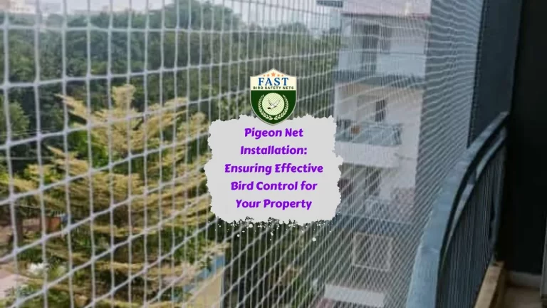 Pigeon Net Installation: Ensuring Effective Bird Control for Your Property