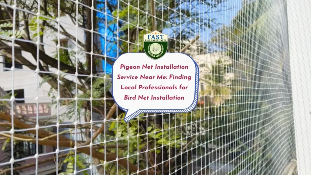 Pigeon Net Installation Service Near Me: Finding Local Professionals for Bird Net Installation