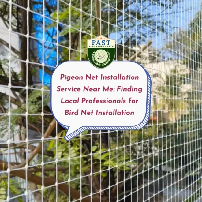 Pigeon Net Installation Service Near Me: Finding Local Professionals for Bird Net Installation