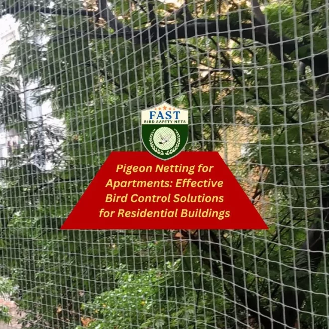 Pigeon Netting for Apartments: Effective Bird Control Solutions for Residential Buildings