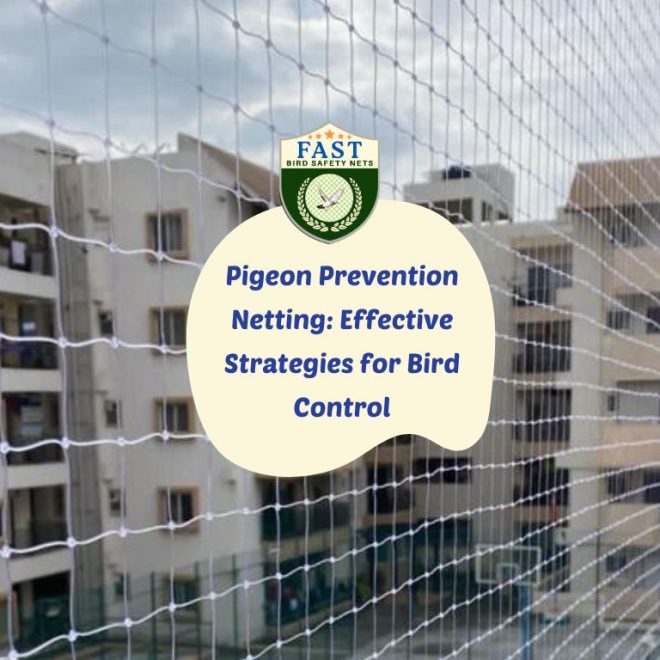 Pigeon Prevention Netting: Effective Strategies for Bird Control