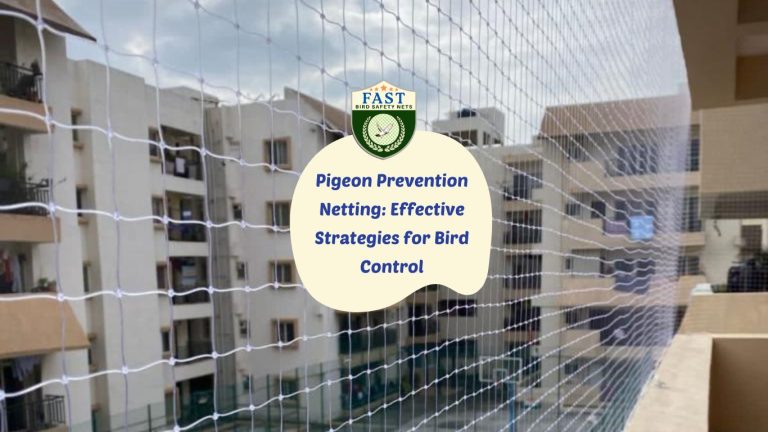 Pigeon Prevention Netting: Effective Strategies for Bird Control