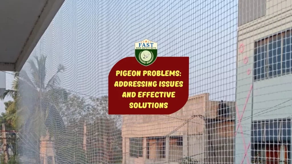 Pigeon Problems: Addressing Issues and Effective Solutions