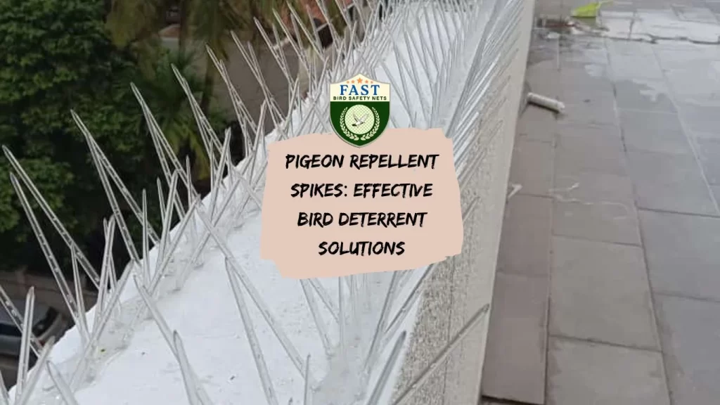 Pigeon Repellent Spikes: Effective Bird Deterrent Solutions