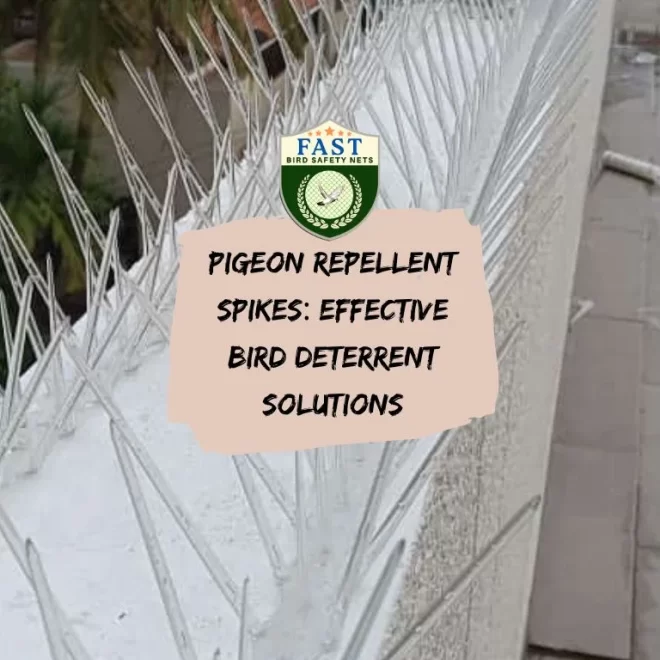 Pigeon Repellent Spikes: Effective Bird Deterrent Solutions