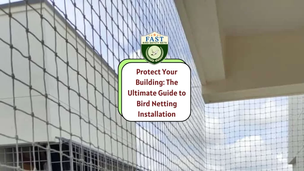 Protect Your Building: The Ultimate Guide to Bird Netting Installation