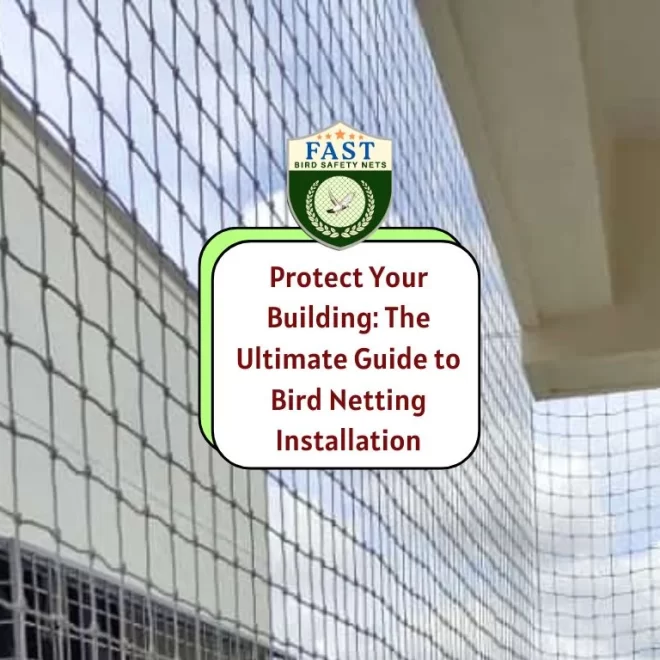 Protect Your Building: The Ultimate Guide to Bird Netting Installation
